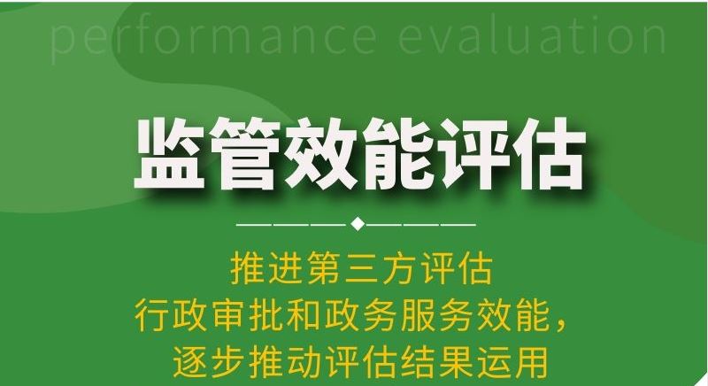 监管效能评估