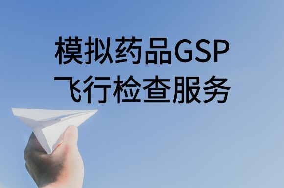 模拟药品GSP飞行检查服务