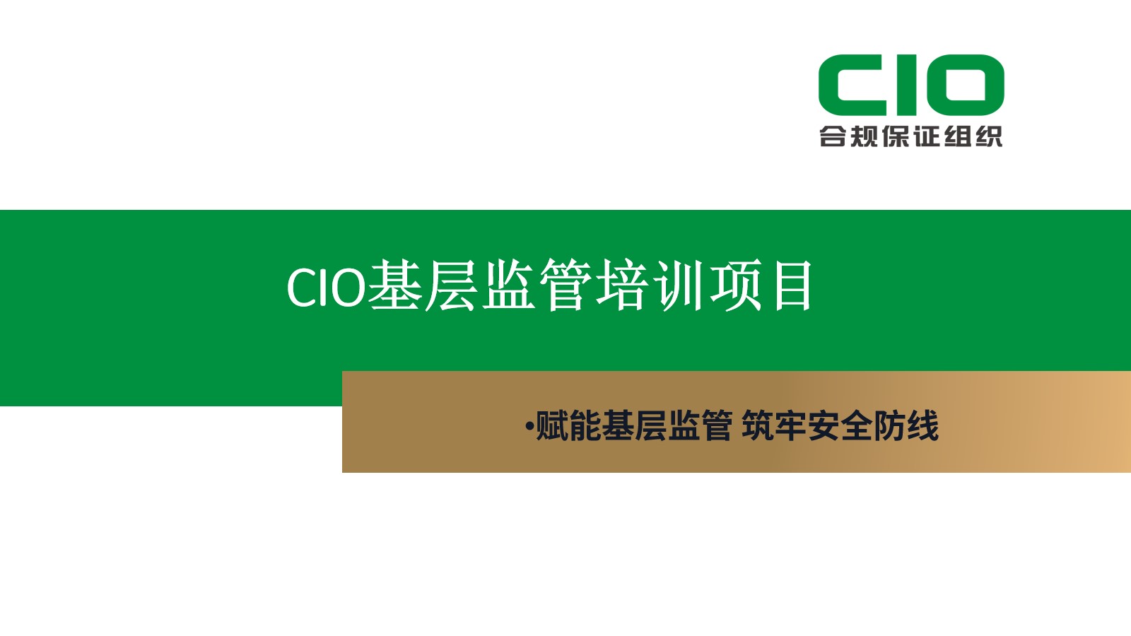 《CIO基层监管培训项目》分享