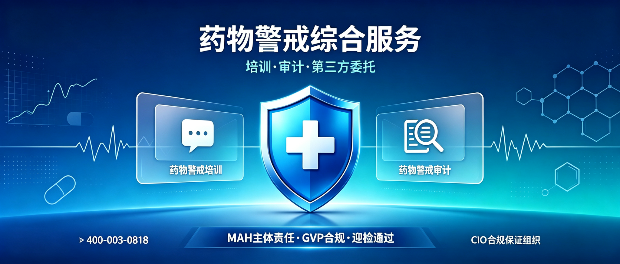 药物警戒综合服务