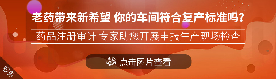 委托注册审计.jpg
