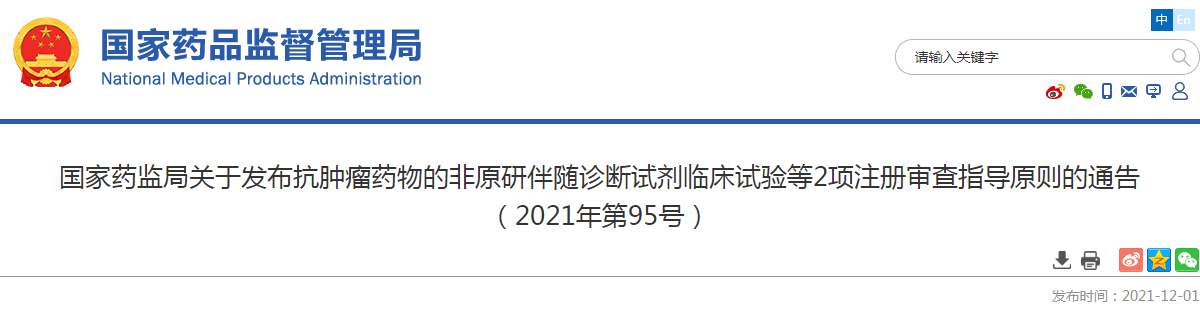 国家药监局关于发布抗肿瘤药物的非原研伴随诊断试剂临床试验等2项注册审查指导原则的通告（2021年第95号）