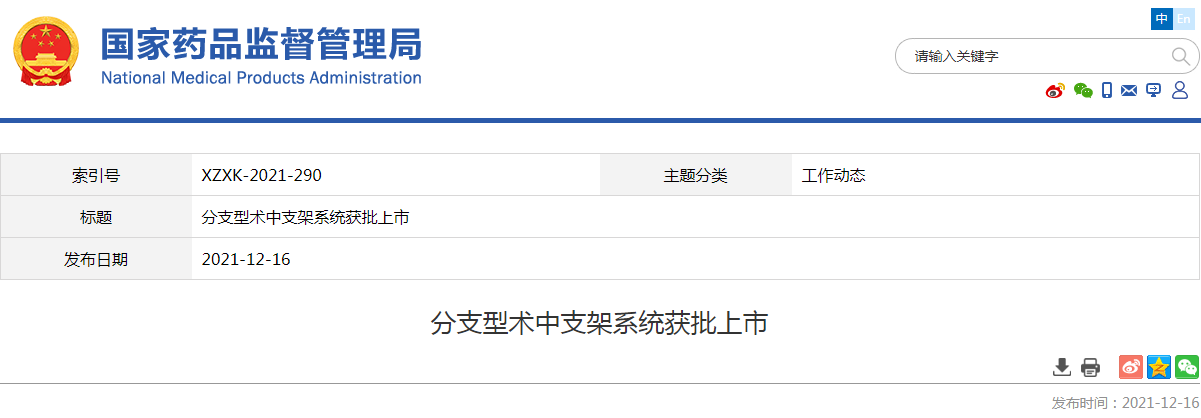 分支型术中支架系统获批上市 分支型术中支架系统获批上市