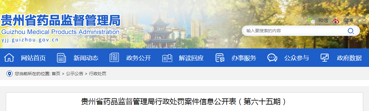 贵州省药品监督管理局行政处罚案件信息公开表（第六十五期）