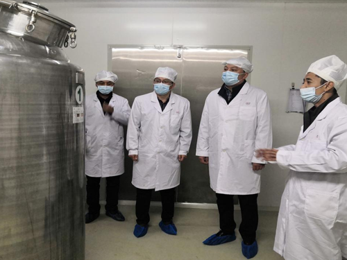 黑龙江省药监局稽查七处开展药品生产企业风险隐患排查工作