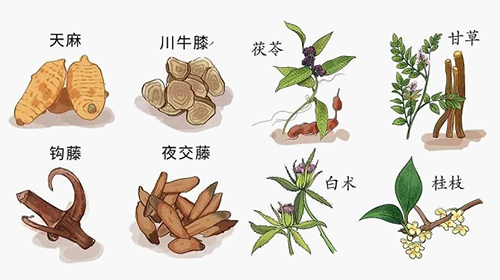 新疆维吾尔自治区药监局出台促进中药民族药产业高质量发展的21条措施