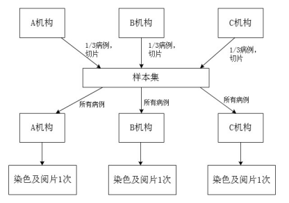 环比试验设计示意图