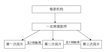 机构内同一病理医师阅片一致性试验设计示意图