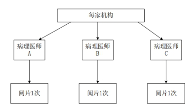 机构内不同病理医师阅片一致性试验设计示意图