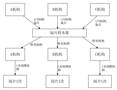 不同机构间病理医师阅片一致性试验设计示意图