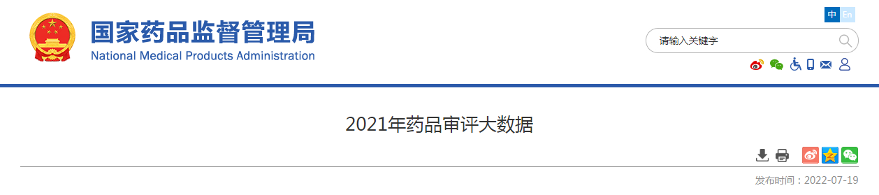 2021年药品审评大数据