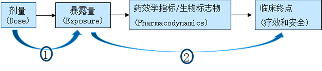 图1 剂量-暴露量-效应（D-E-R） 简化示意图