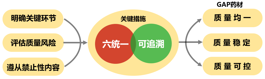 中药材GAP基地建设质量管理核心要求 中药材GAP基地建设质量管理核心要求