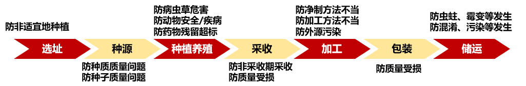 中药材GAP基地建设关键环节风险防控要点 中药材GAP基地建设关键环节风险防控要点