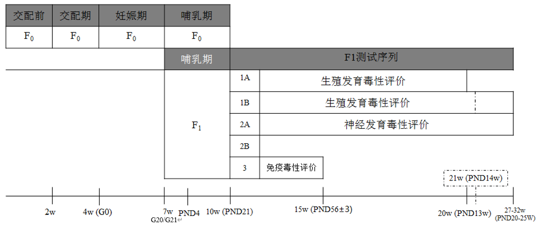 扩展的一代生殖发育毒性试验流程图