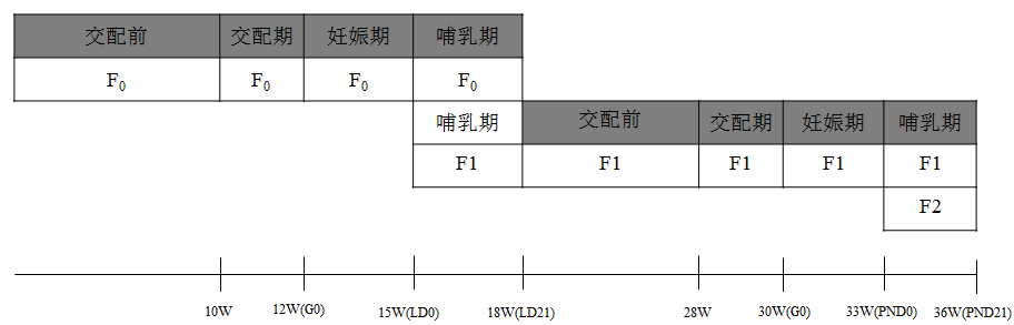 两代生殖发育毒性试验流程