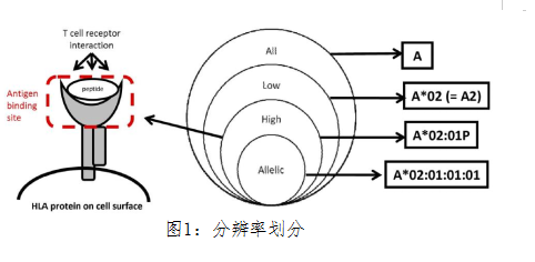 企业微信截图_17376195612580.png