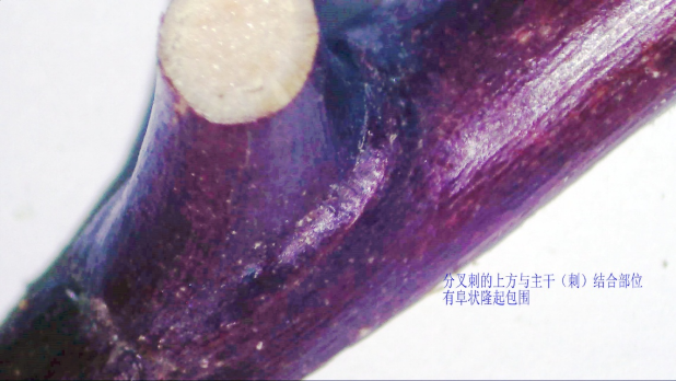1793156364594923.png image.png