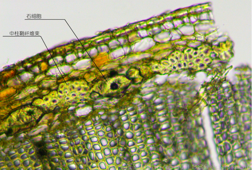 1793156574918153.png image.png
